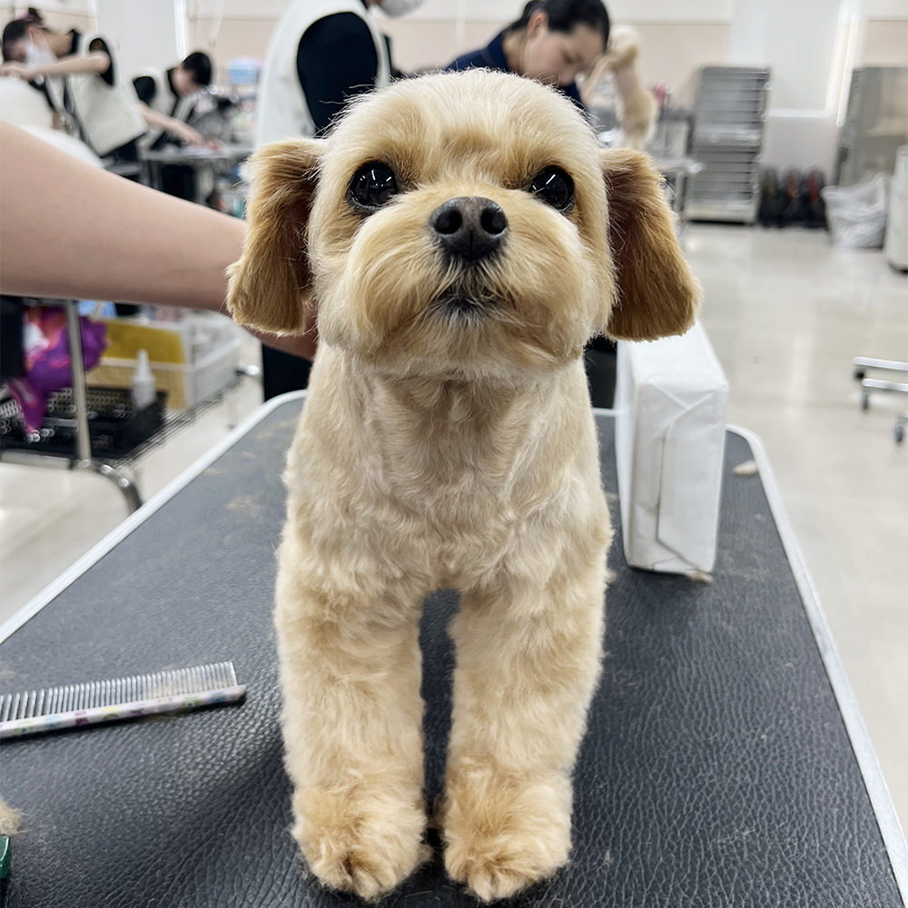 ２年生が担当しているかわいいお客様♪